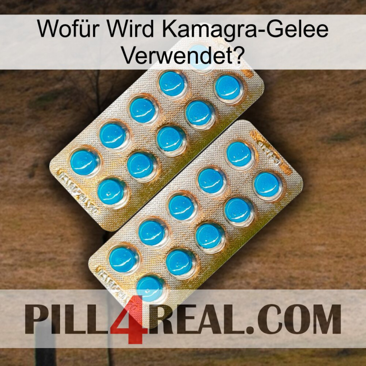 Wofür Wird Kamagra-Gelee Verwendet0 new08